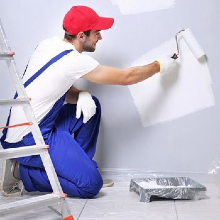 Wall Painter (1) (2)